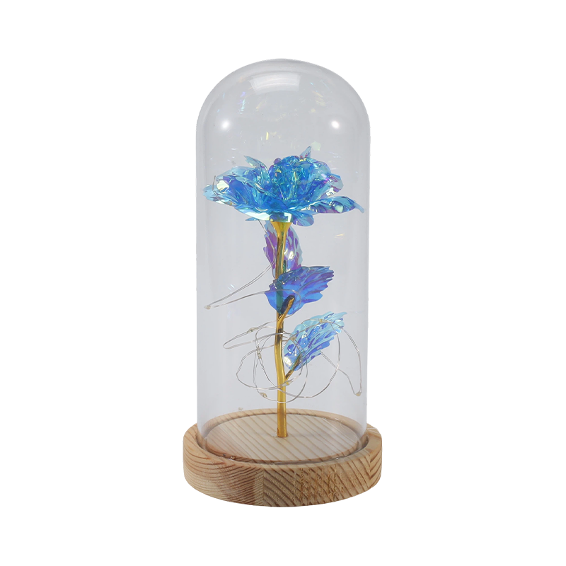 Galaxy Rose Glass Cloche Light (Dengan/Tanpa Teddy Bear, Berbagai Warna)