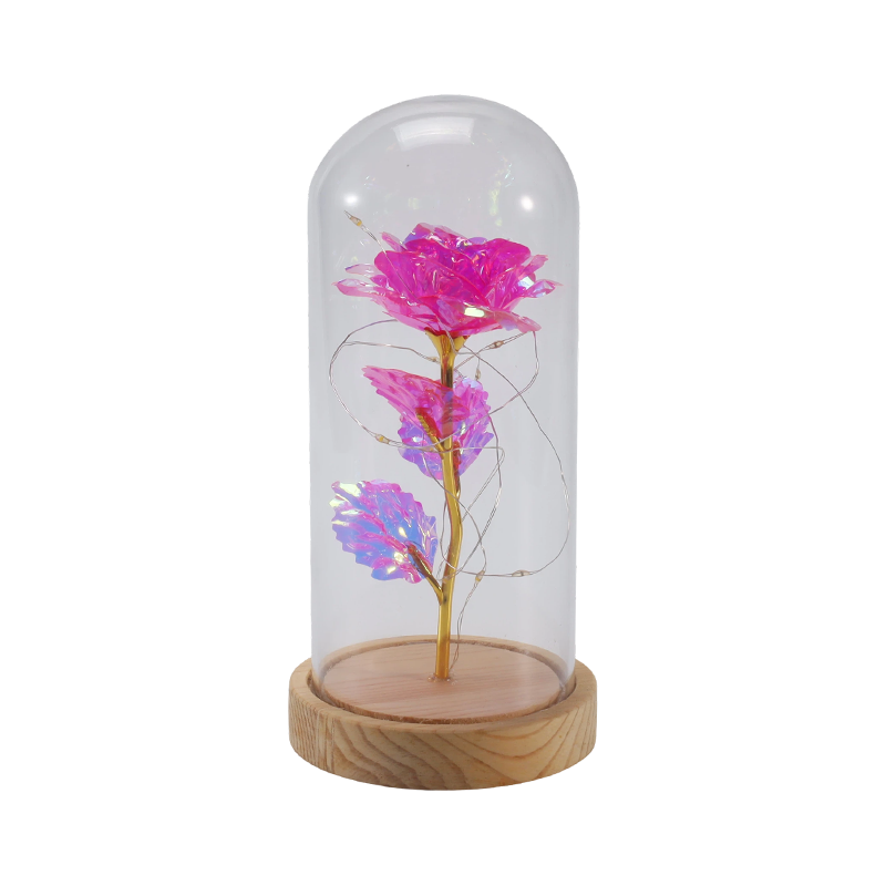 Galaxy Rose Glass Cloche Light (Dengan/Tanpa Teddy Bear, Berbagai Warna)